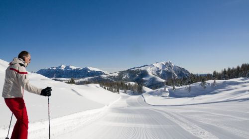 neve Sciatore Pista Sci Panorama Montagne   Bailo